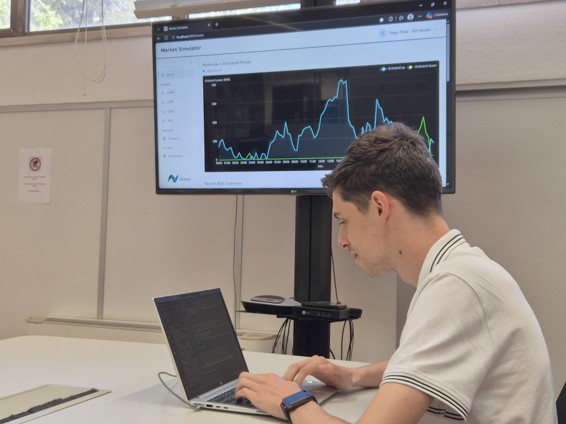 Development and testing of the R&D NESTER Market Simulator user interface