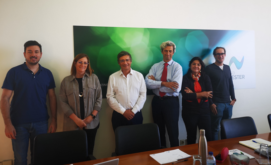 NL25 - fig 18